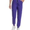 Enwinz-Elora-Womens-Jogger-Scrub-Pants-Purple5-scaled-1.webp
